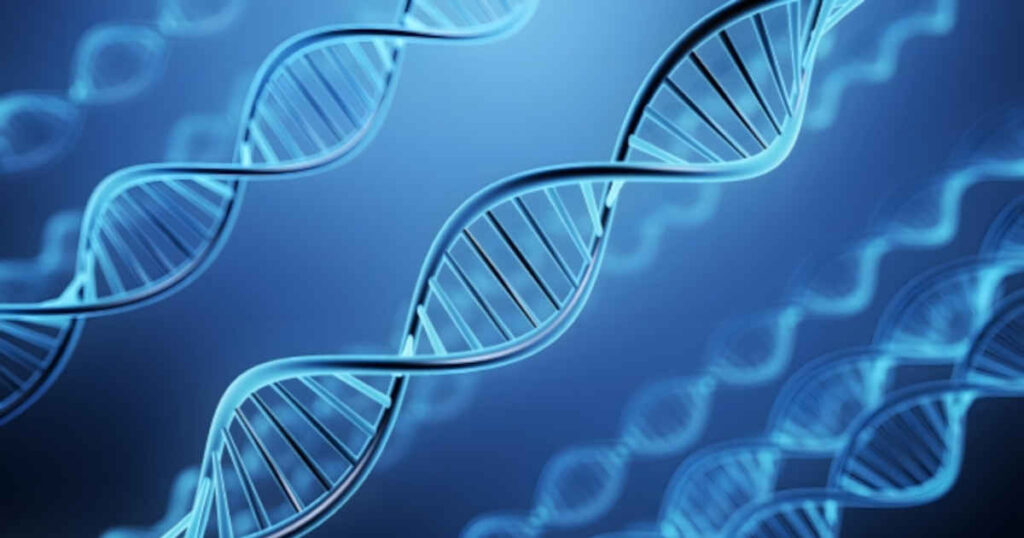 遺伝子 DNA