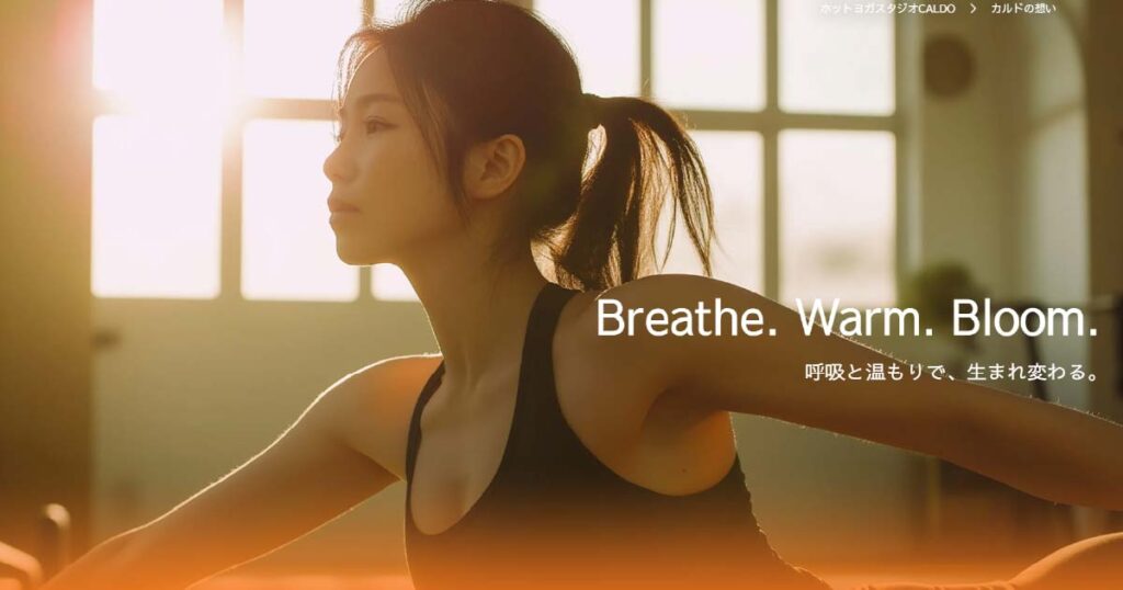 CALDOホームページ