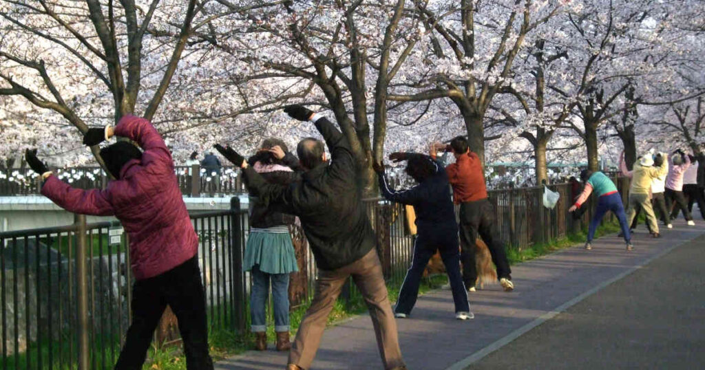 桜の下で体操をする人々